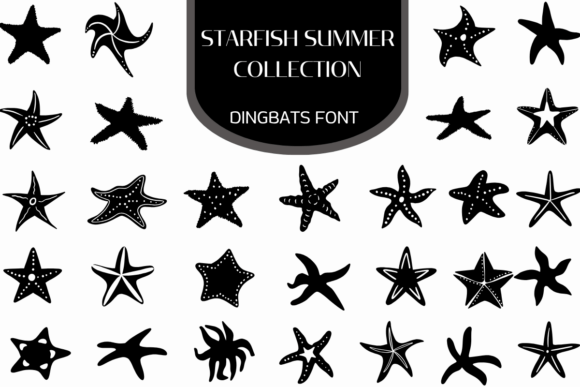 Starfish Summer Collection: A Creative Font for Coastal Brands